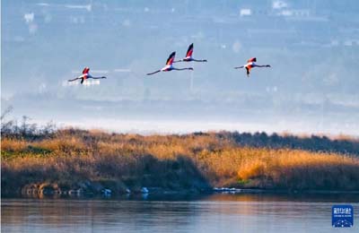  初冬時(shí)節(jié)，神州大地開(kāi)啟“美顏”模式  